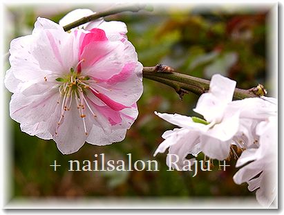 nail.jpg