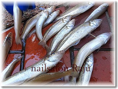nail.jpg
